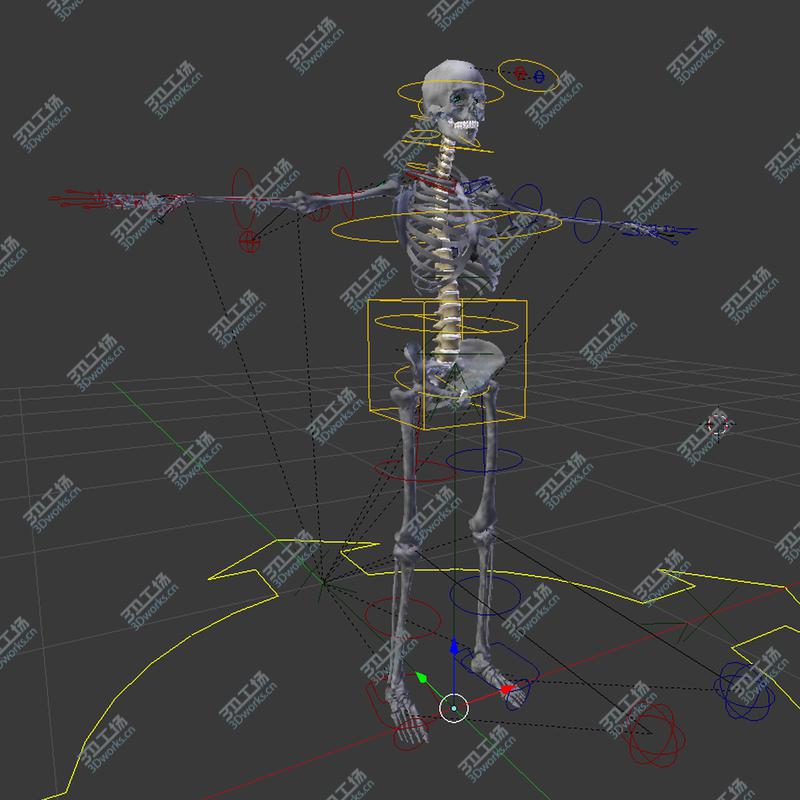 images/goods_img/20210113/3D BLENDER Rigged Male and Female Anatomy V07/3.jpg
